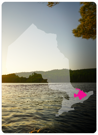 region11_tmb